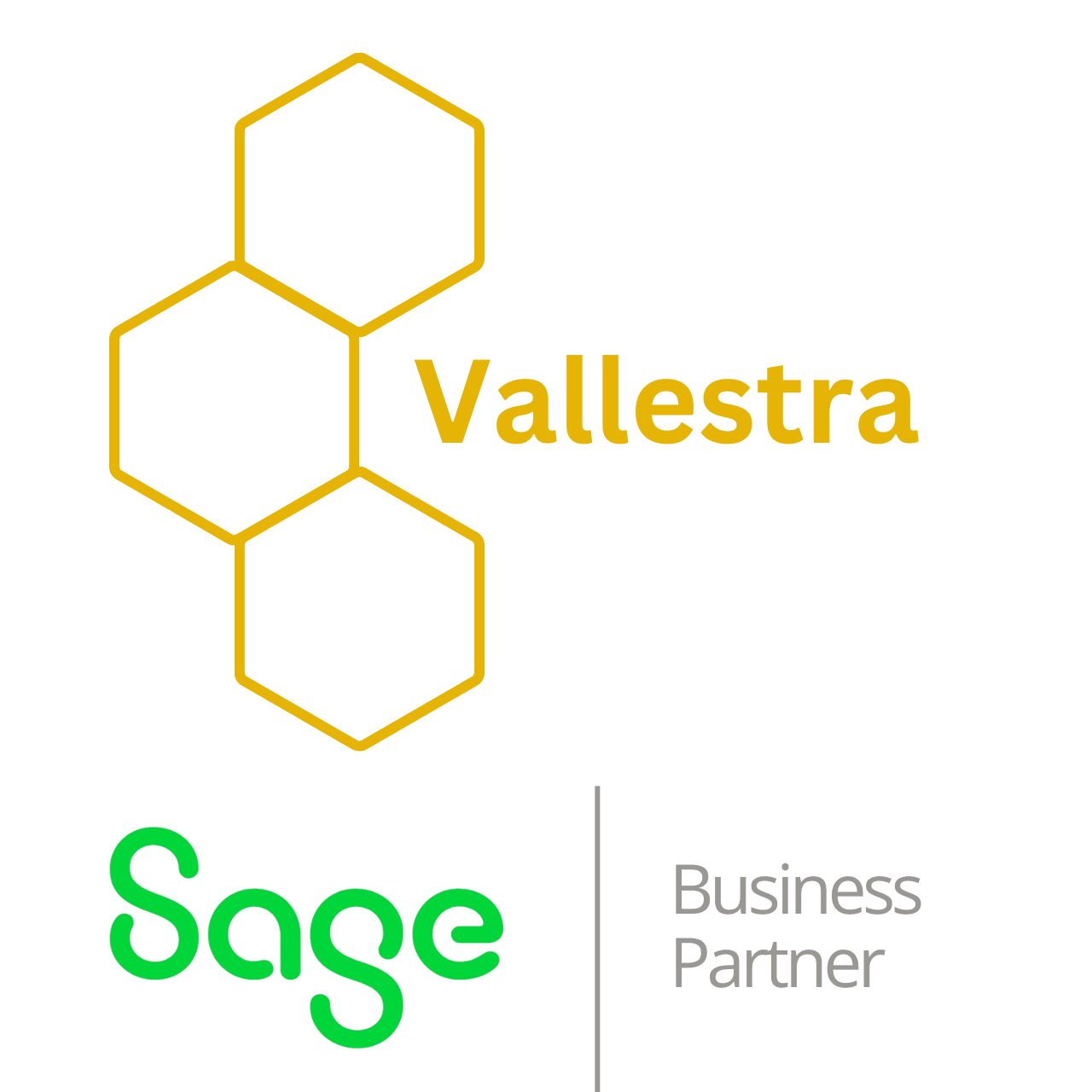 Vallestra - Sage Business Partner Logo